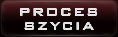 Proces szycia