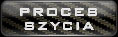 Proces szycia
